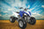 Crossfire Mustang 250 Evo2 - Adventure Quads and Bikes Online